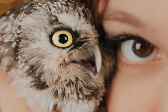 CasinoCasino Kazino Atbalsts